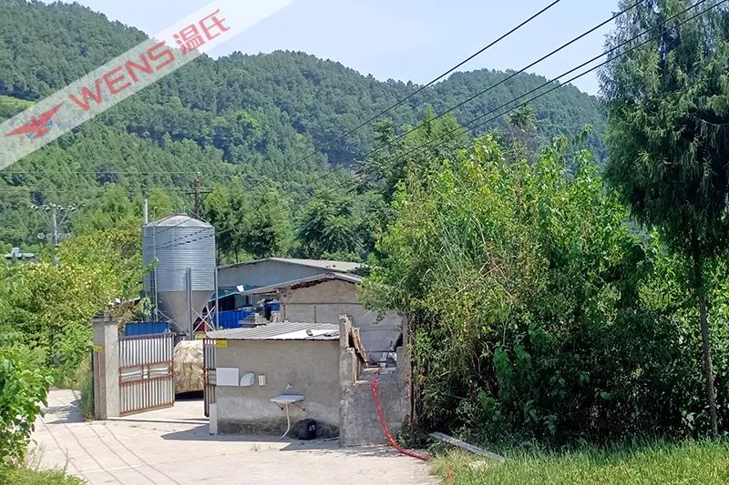 如何带动村民养猪乡村振兴,乡村振兴生猪养殖致富