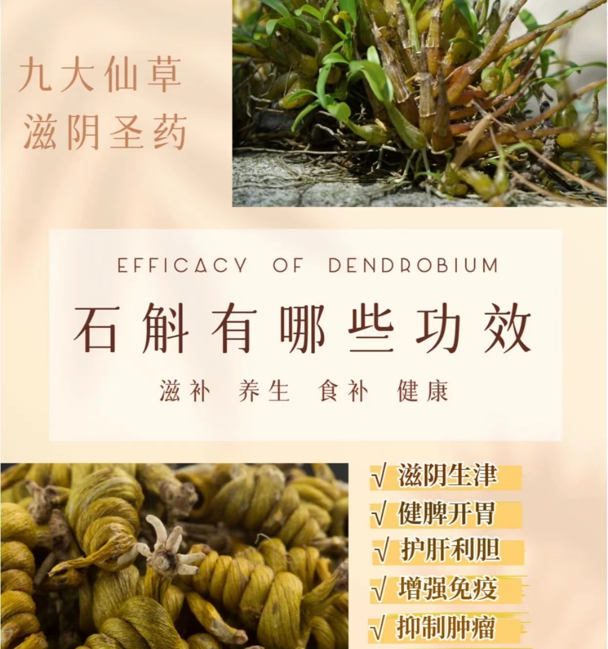 含蛋白质高的食物大概有哪些,有哪些蛋白质含量高的食物推荐