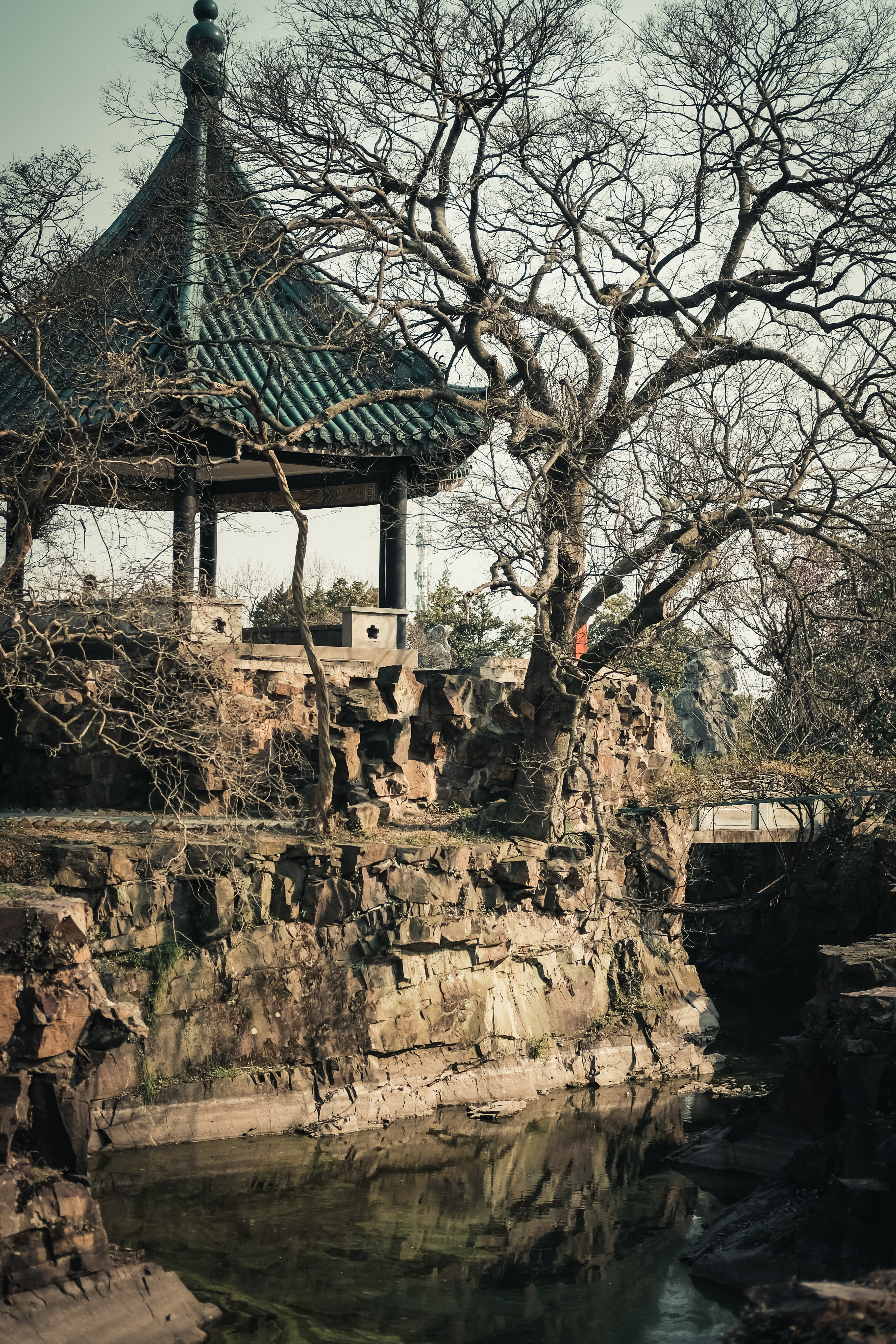 老梅园，你没有游览到；你游览的只是新梅园