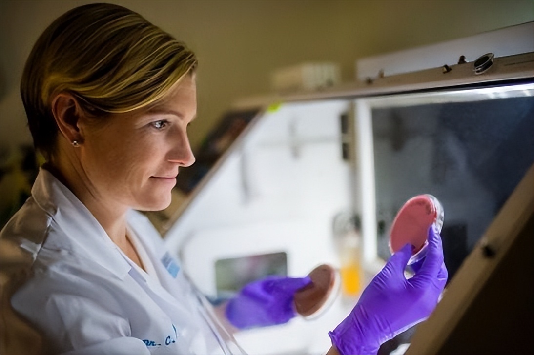 阴道菌群为什么会混乱,阴道菌群怎么分类