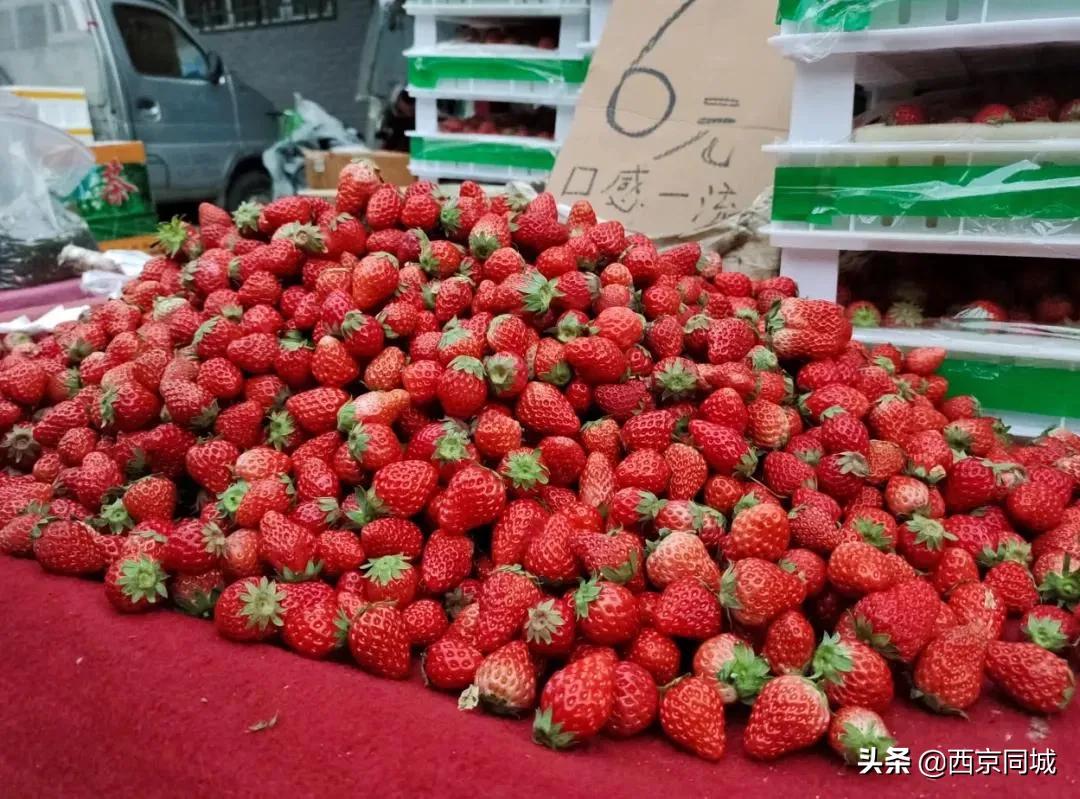 西安小南门早市便民市场收费不,西安小南门早市现在开吗