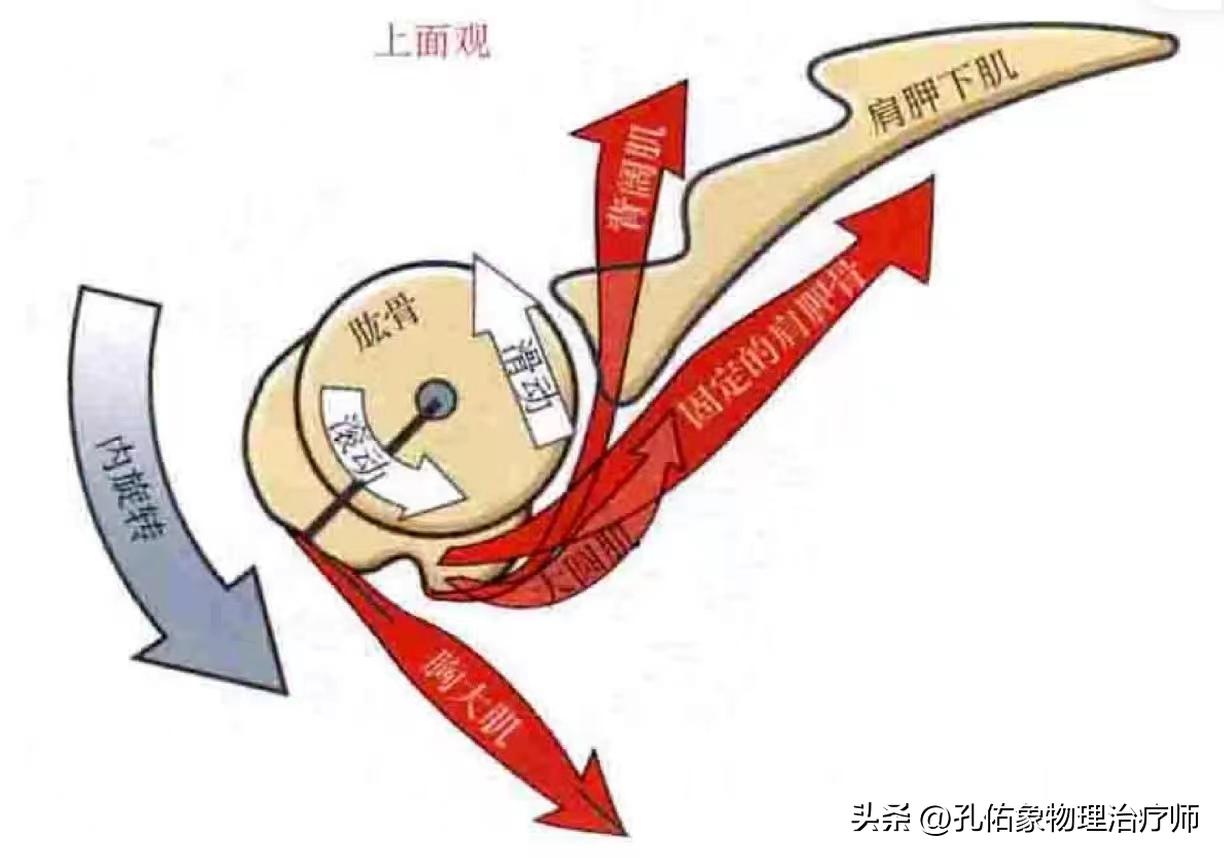 左边肩膀疼痛的治疗方法小妙招,肩膀手往后抬时疼痛是什么原因