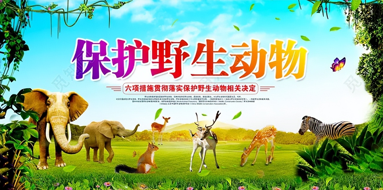 湖北一山洞吐鱼视频,湖北一山洞每年吐鱼