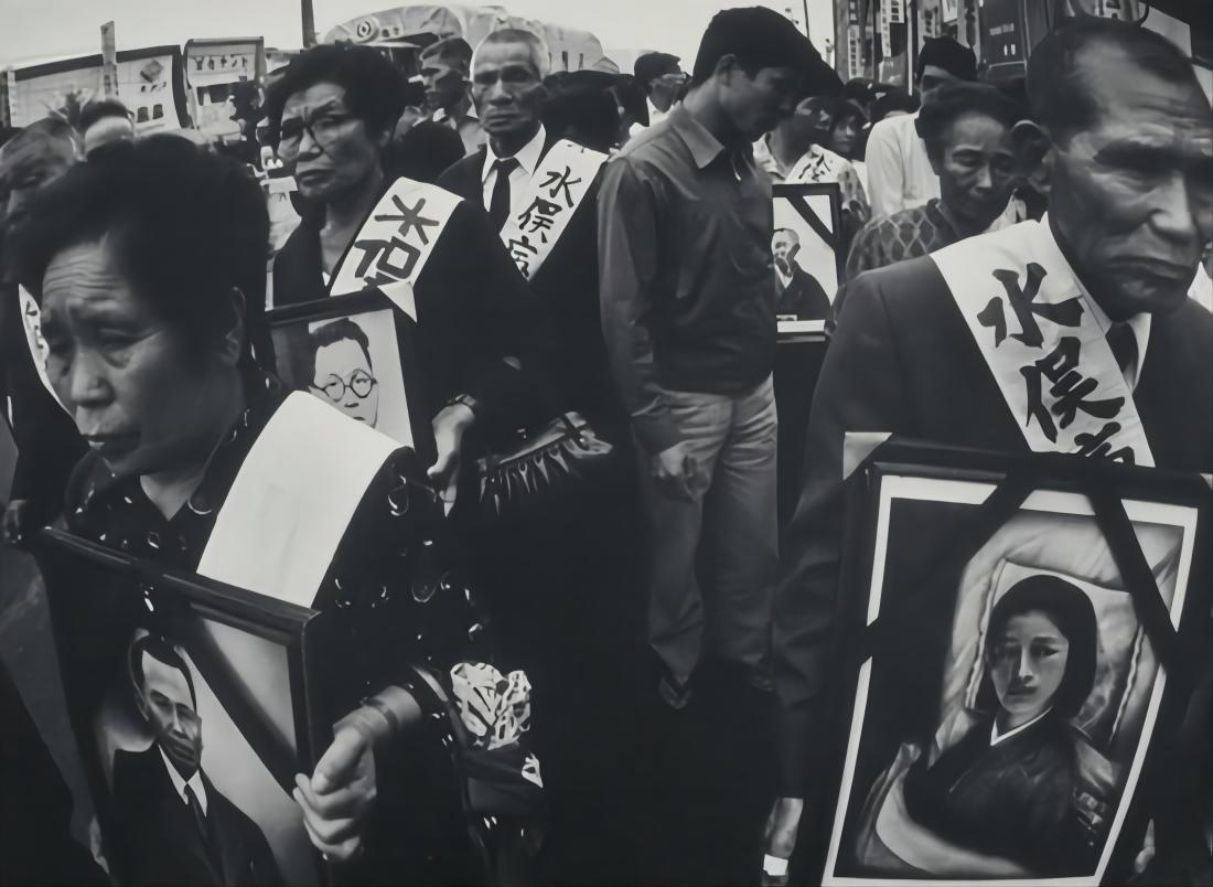 日本猫跳海,日本猫跳海事件