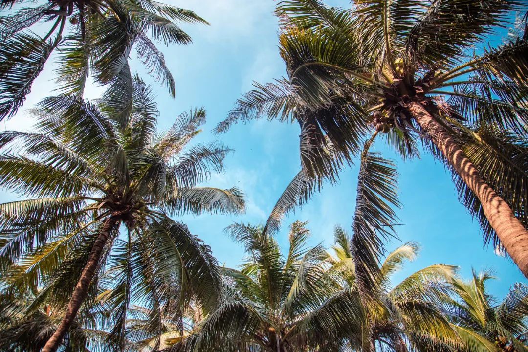 回族去三亚旅游攻略,三亚酒店推荐最全攻略