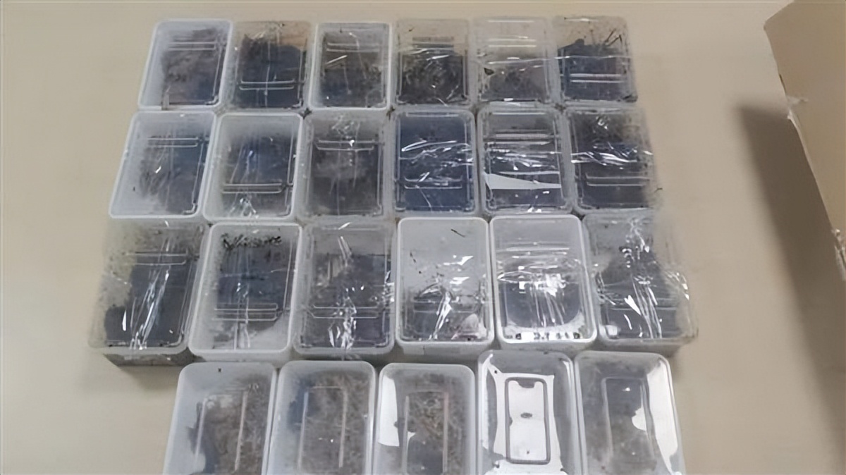 海关截获世界最毒蜈蚣,最毒蜈蚣放大1000倍