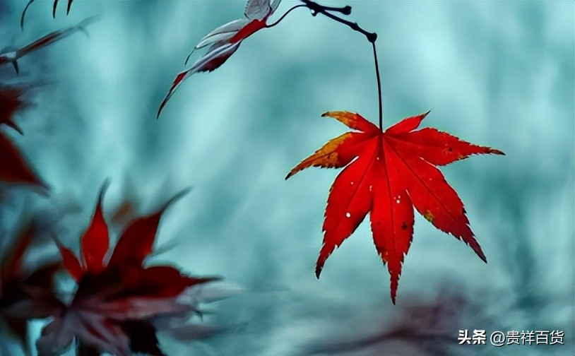 2023年3月份哪天是节假日,2023年4月有哪些法定节假日