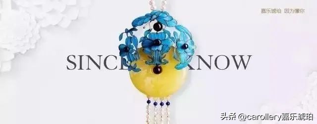 小琥珀嵌在煤精里,这块琥珀的科学价值是什么