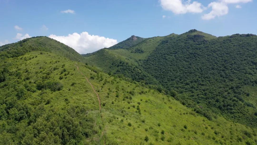 张家口下花园的最新规划,张家口下花园区概况2020