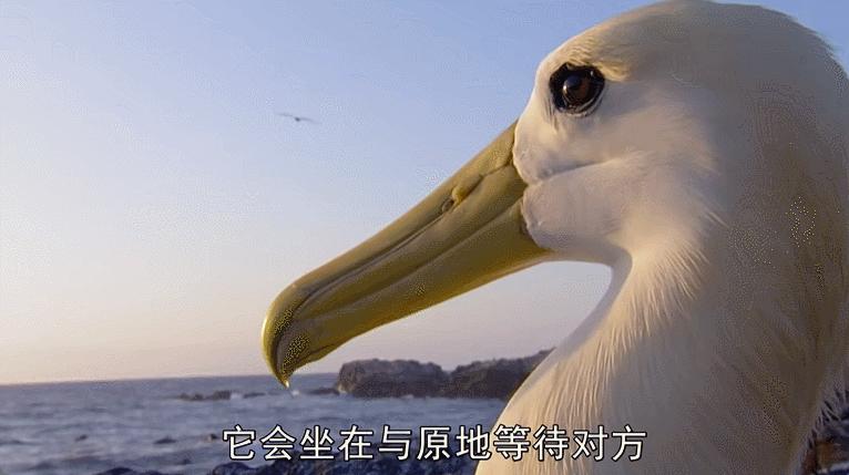 模范夫妻离婚了吗,再恩爱的夫妻最后都会离婚吗