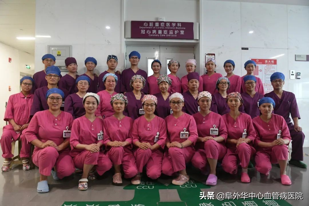 ecmo转运患儿,ecmo转运流程图