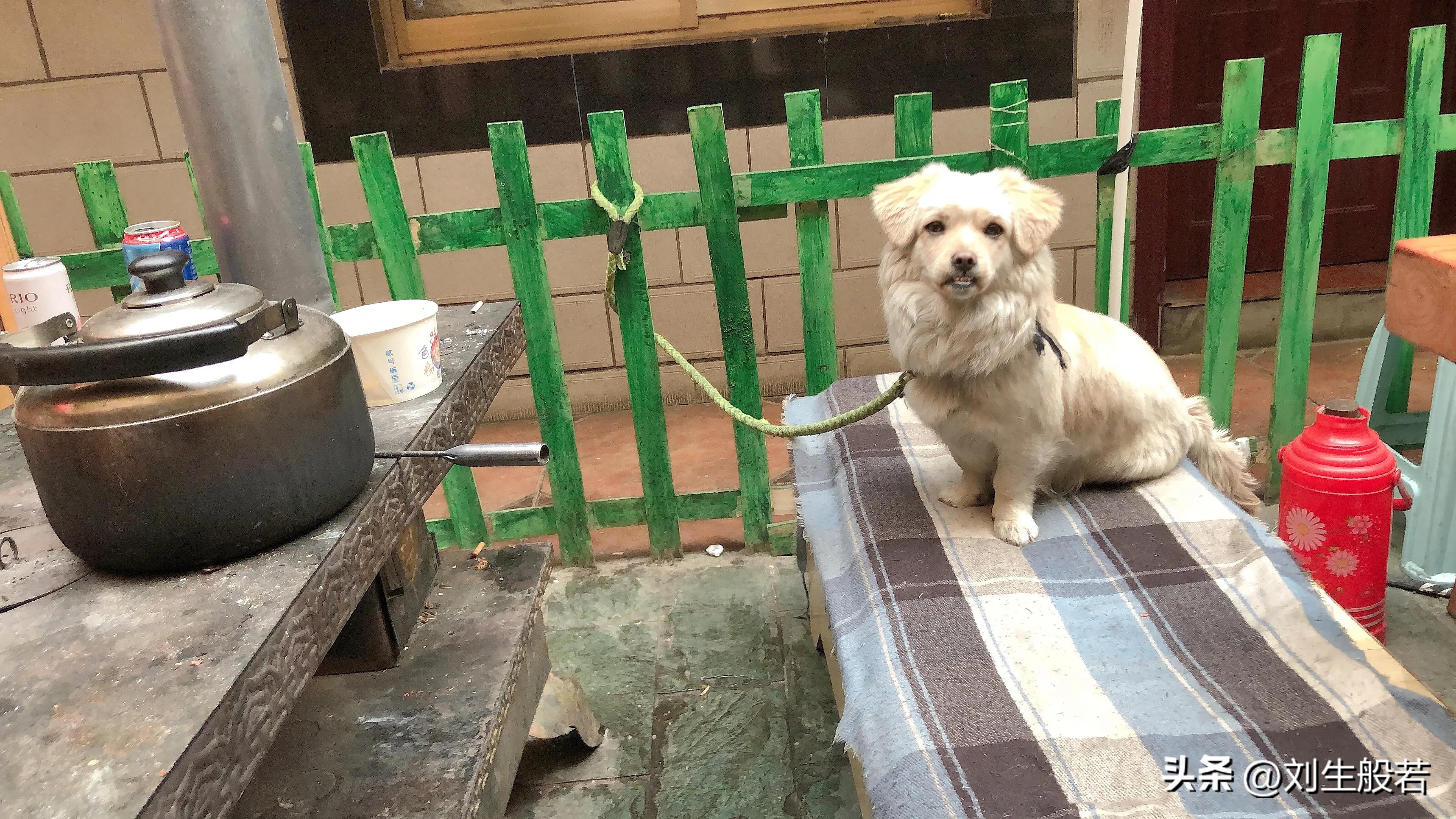 浅谈酒吧,谈酒吧现状