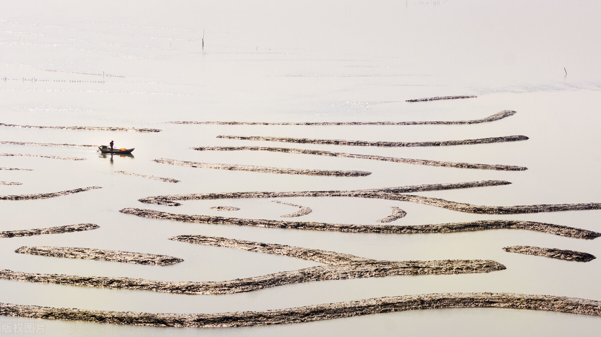 籍贯究竟应该怎么填,籍贯和贯籍的区别是什么