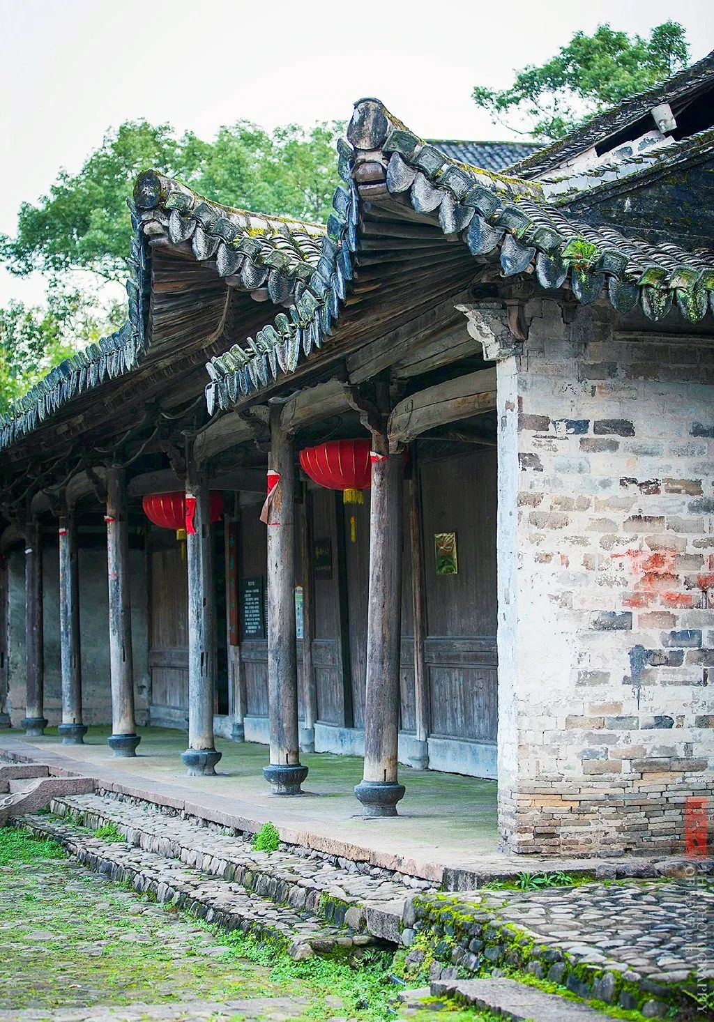 浙江省芙蓉镇芙蓉村,浙江第一村芙蓉村