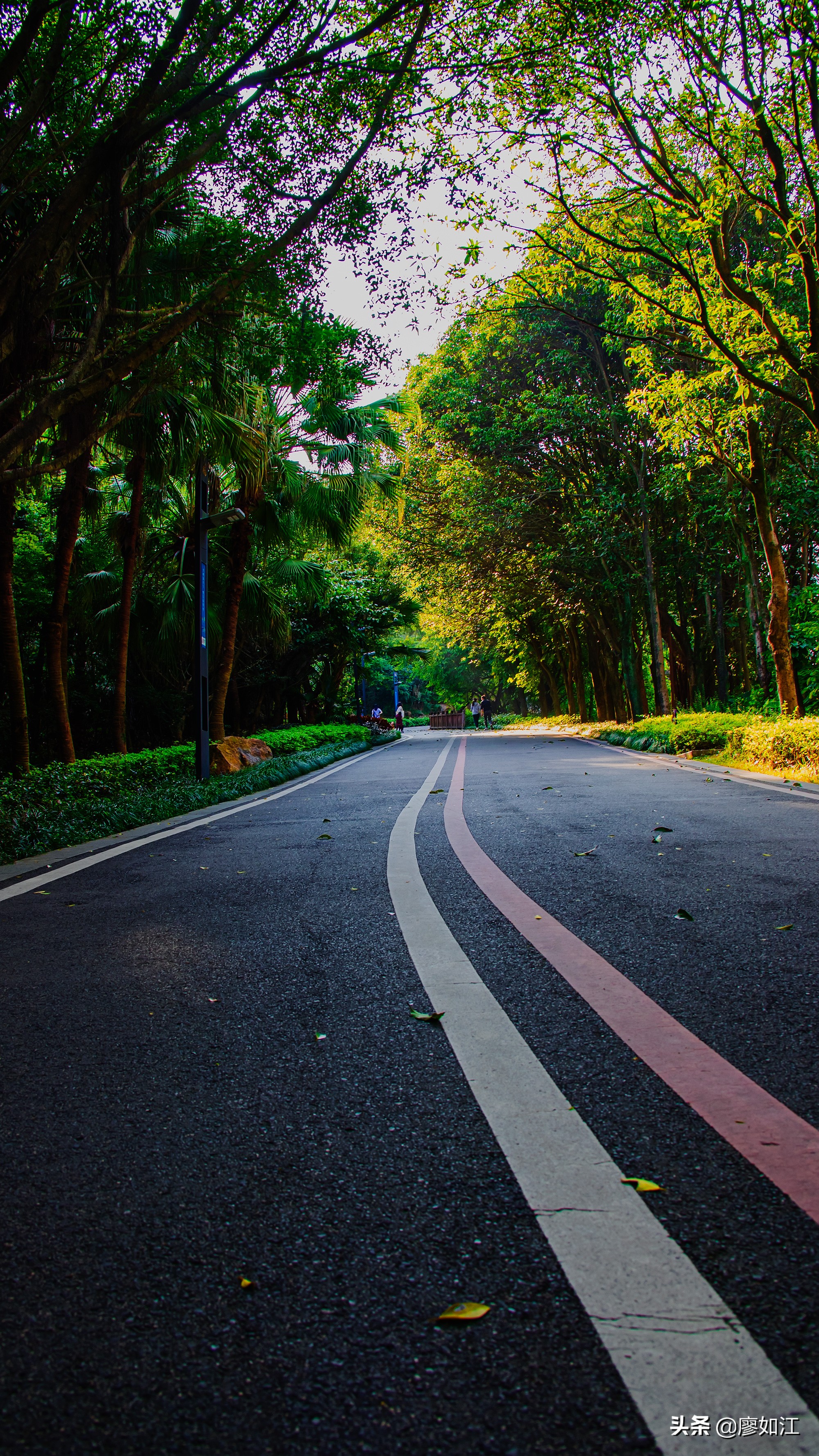 高盖山公园美篇,高盖山公园全景