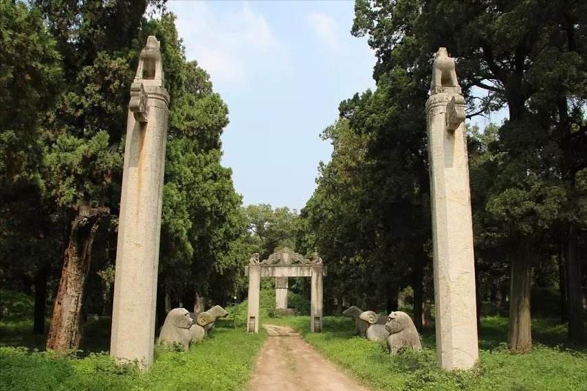 山东孔林存在2400年,周围不见乌鸦蛇鼠,只因林中有这两样东西