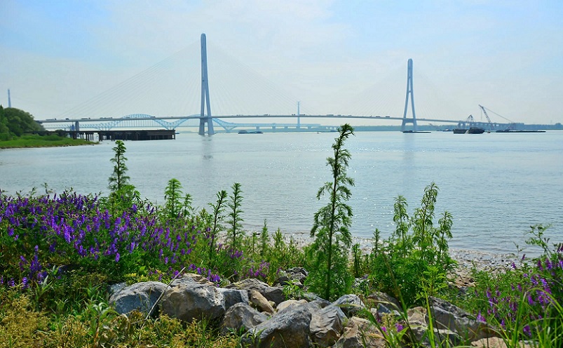 12月南京有哪些免费景点,南京市民免费旅游景点