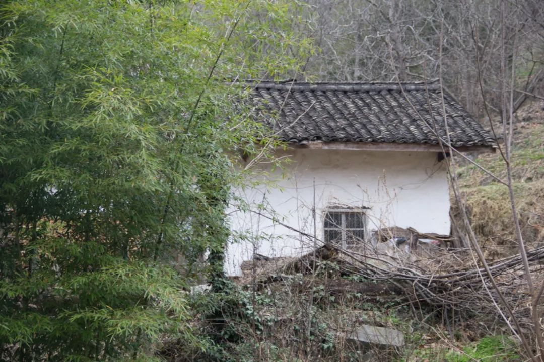 疫情让秦岭山村变得更加寂静，寻访秦岭坪沟，尽量不主动接触村民