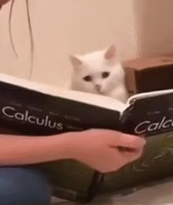 每日一笑，自己拆的家就是有安全感