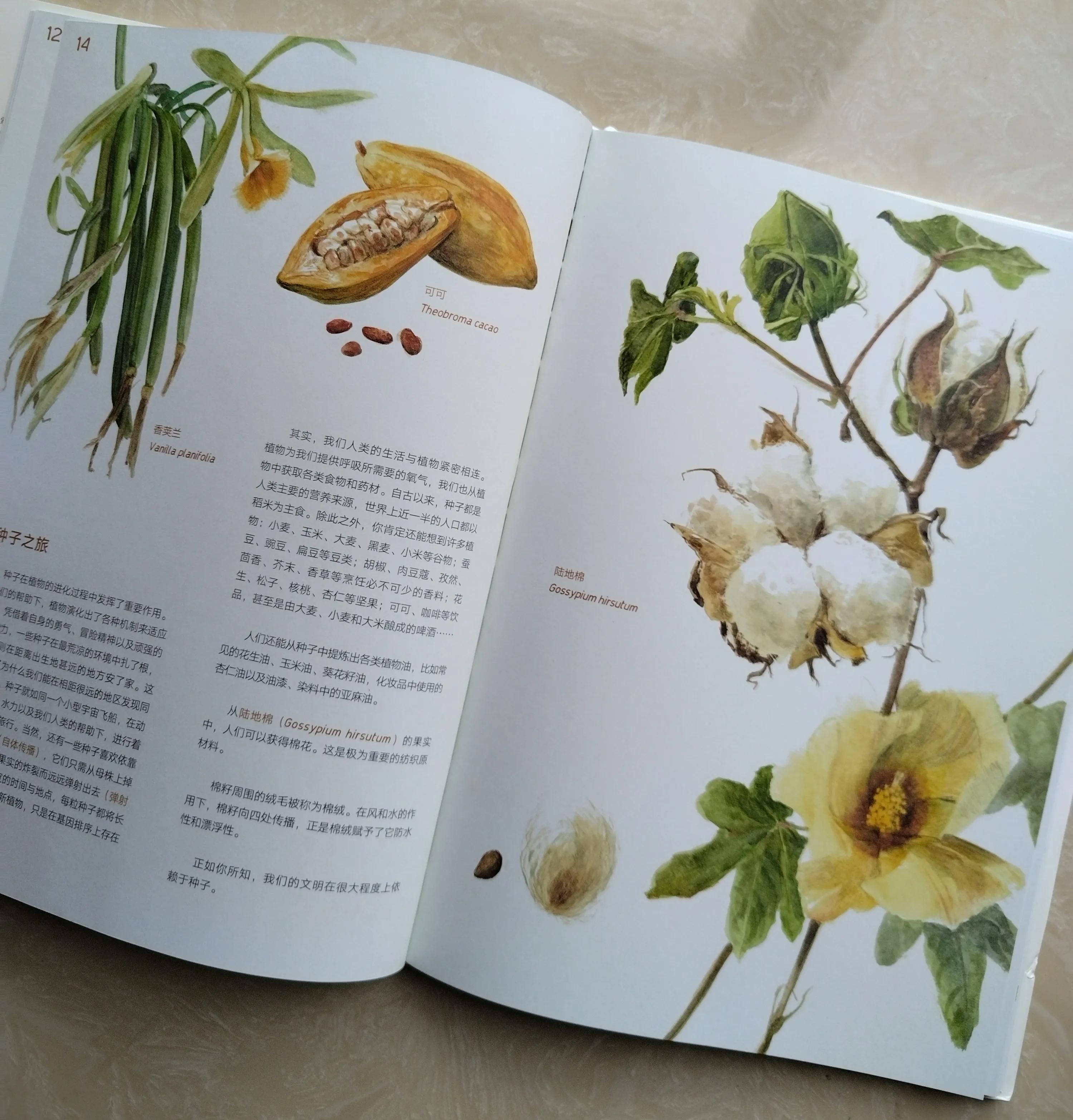 鎺㈢储鑷劧鐨勫ゥ绉樻劅鍙楃敓鍛界殑绁炲,鎴戜滑璧拌繘澶ц嚜鐒舵帰瀵荤敓鍛界殑婧愭硥