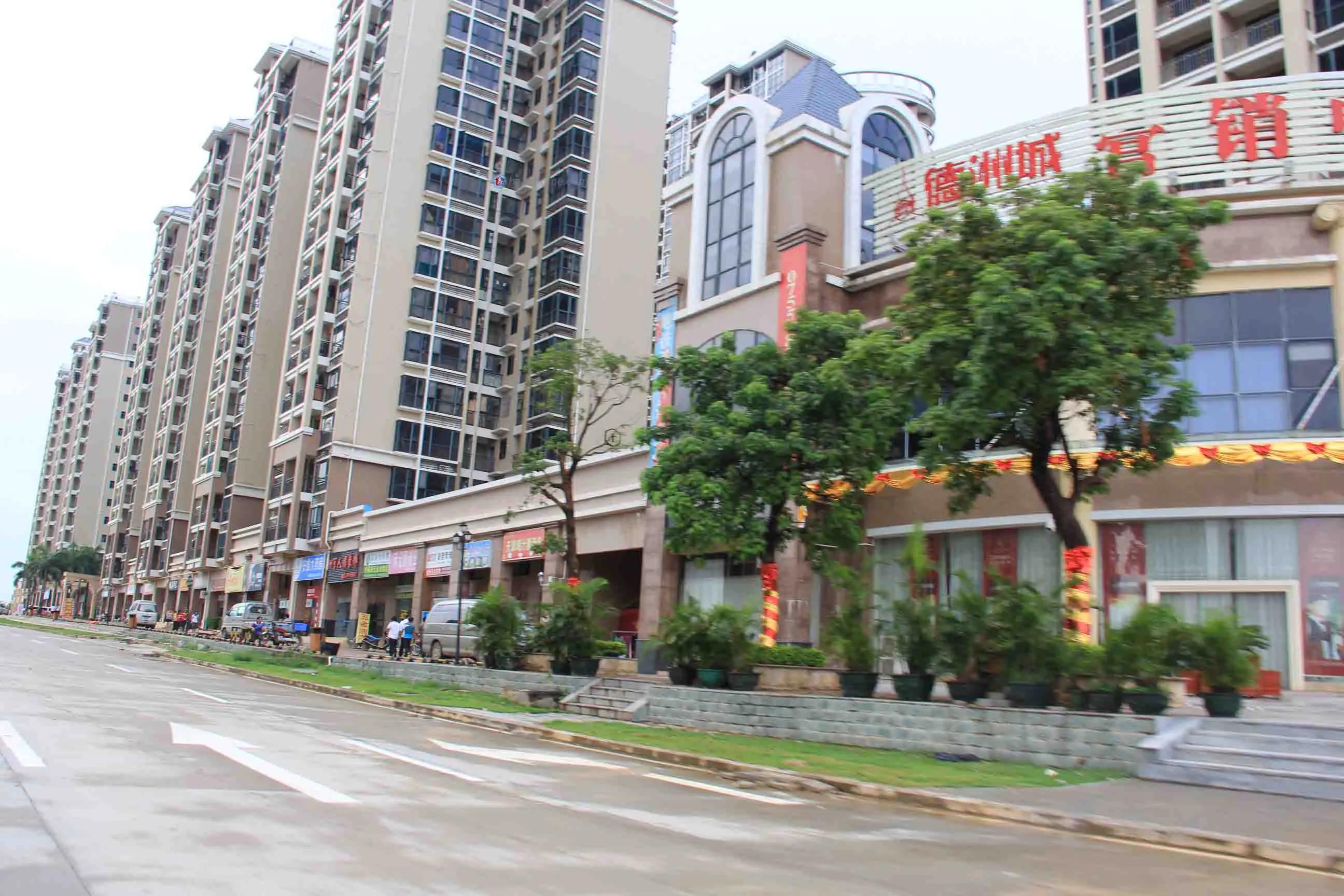 大亚湾德州中心城的房子,惠州大亚湾房子赔钱出售