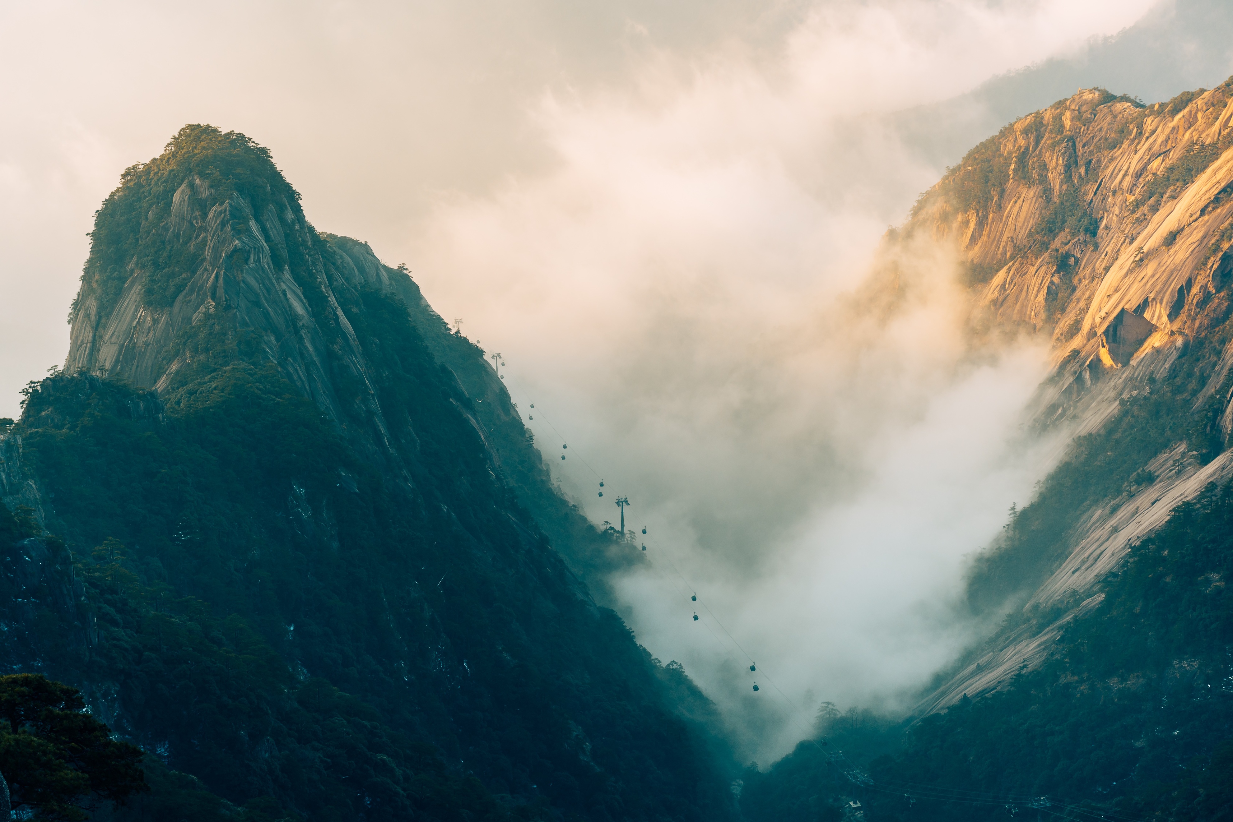 拍野生动物摄影作品,拍动物风景