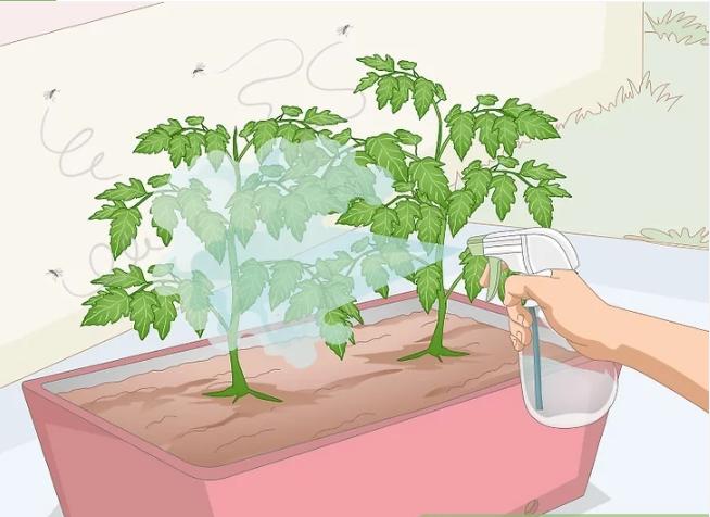 怎么消除厨房的小蚊子,怎么去除厨房异味和蚊虫