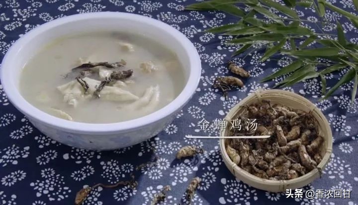 花非花,虫非虫,稀少珍贵!鸡汤有了它,甘甜又好喝