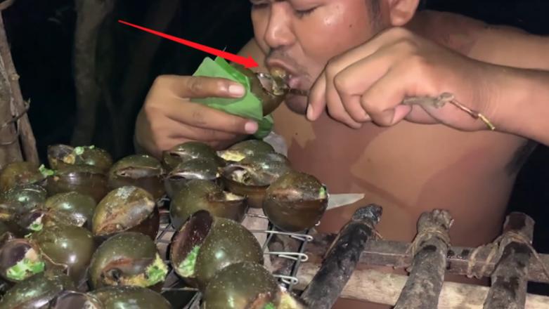 水塘福寿螺泛滥成灾,农村福寿螺成灾