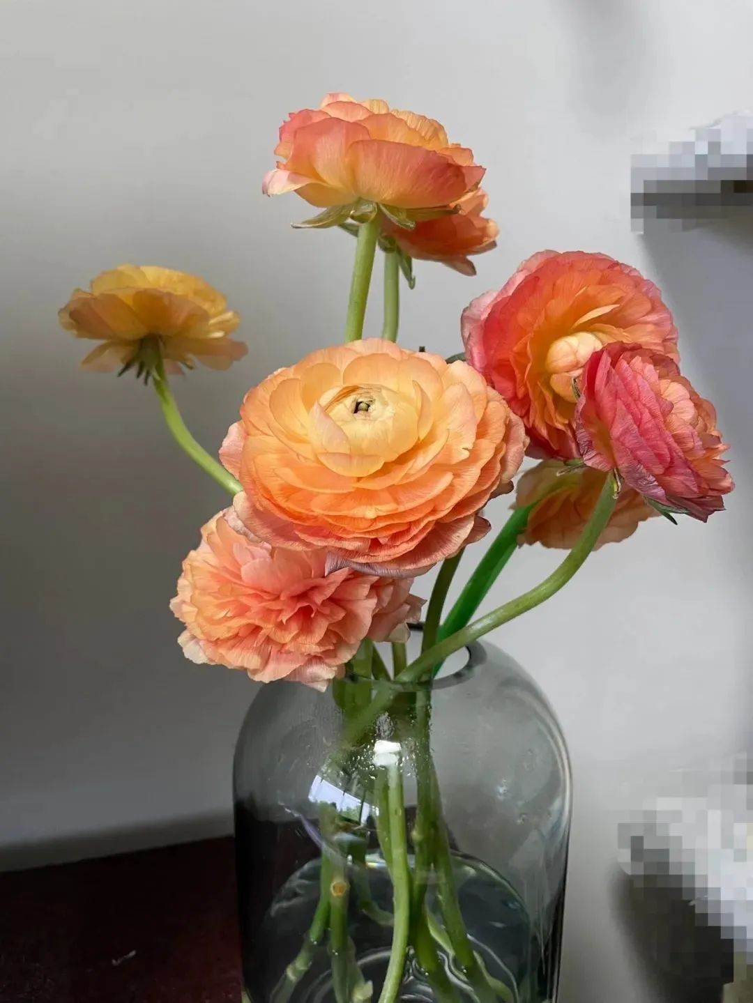 鲜花在水里能养几天会死,新加坡盆栽花卉怎么养