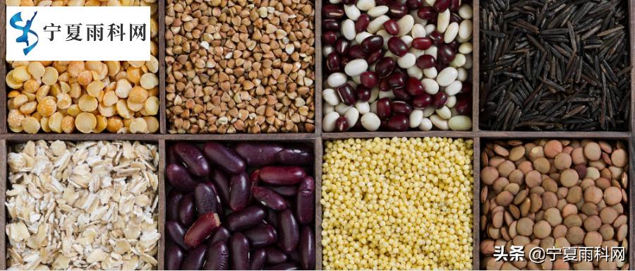 未来农产品供应链的发展趋势怎样,农产品的发展与营销