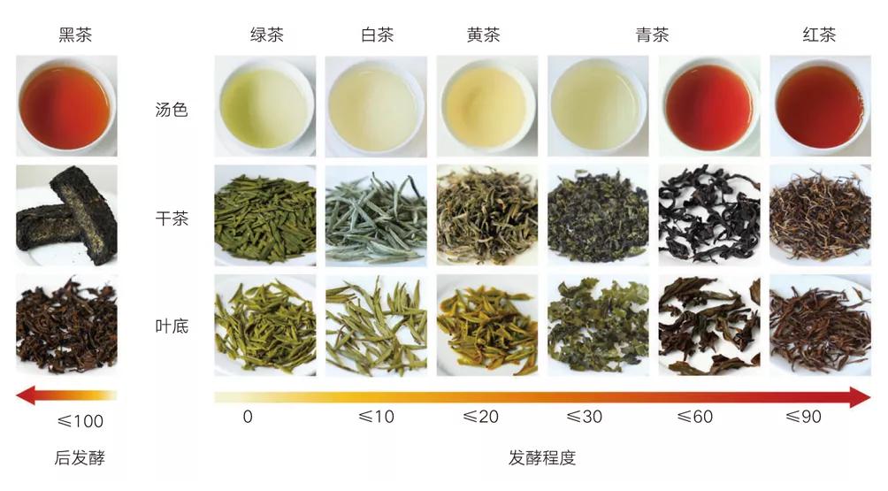 茶避坑,怎么避免买茶踩坑