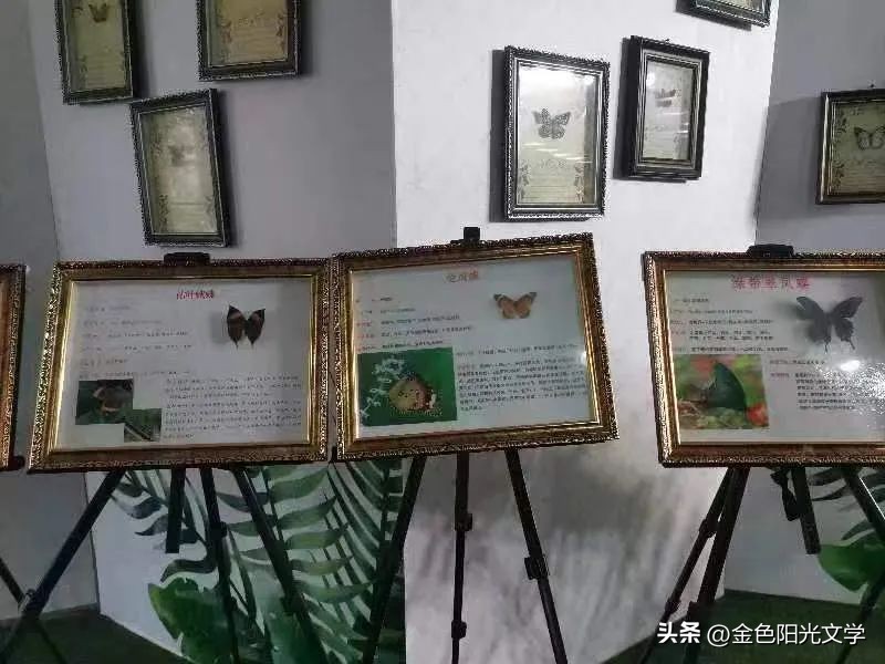 南阳周边游老君山,南阳恐龙遗迹园旅游攻略