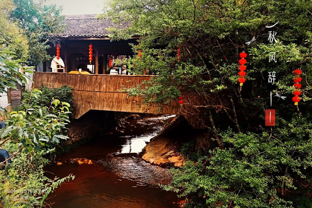 相思五言古诗中哪首最动人心弦,关于相思的诗都有哪些