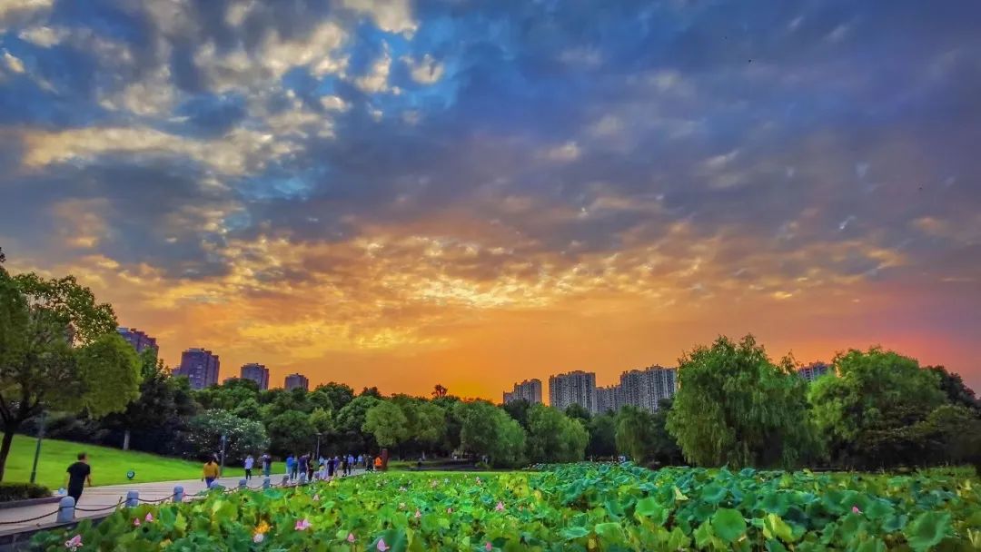 喜迎二十大|步道美球场亮，雨花人在家门口健身的幸福！