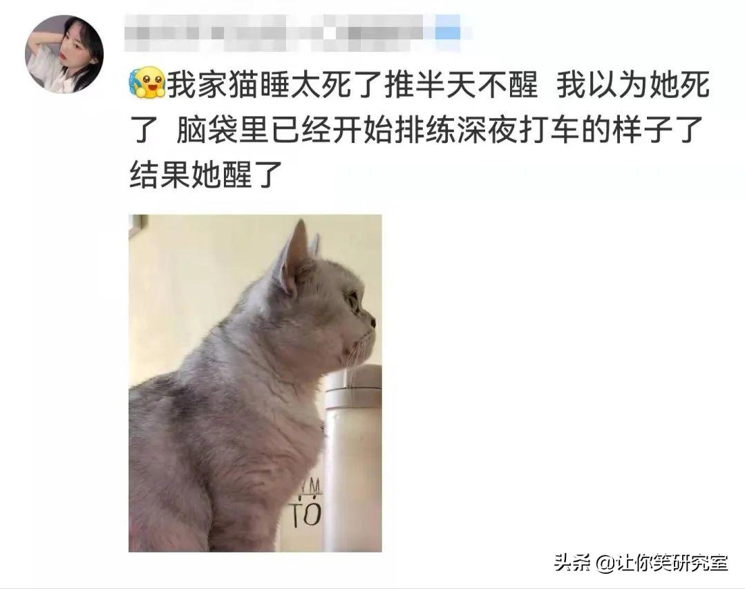 你经历过最虚惊一场的事情?哈哈网友评论真实看呆了