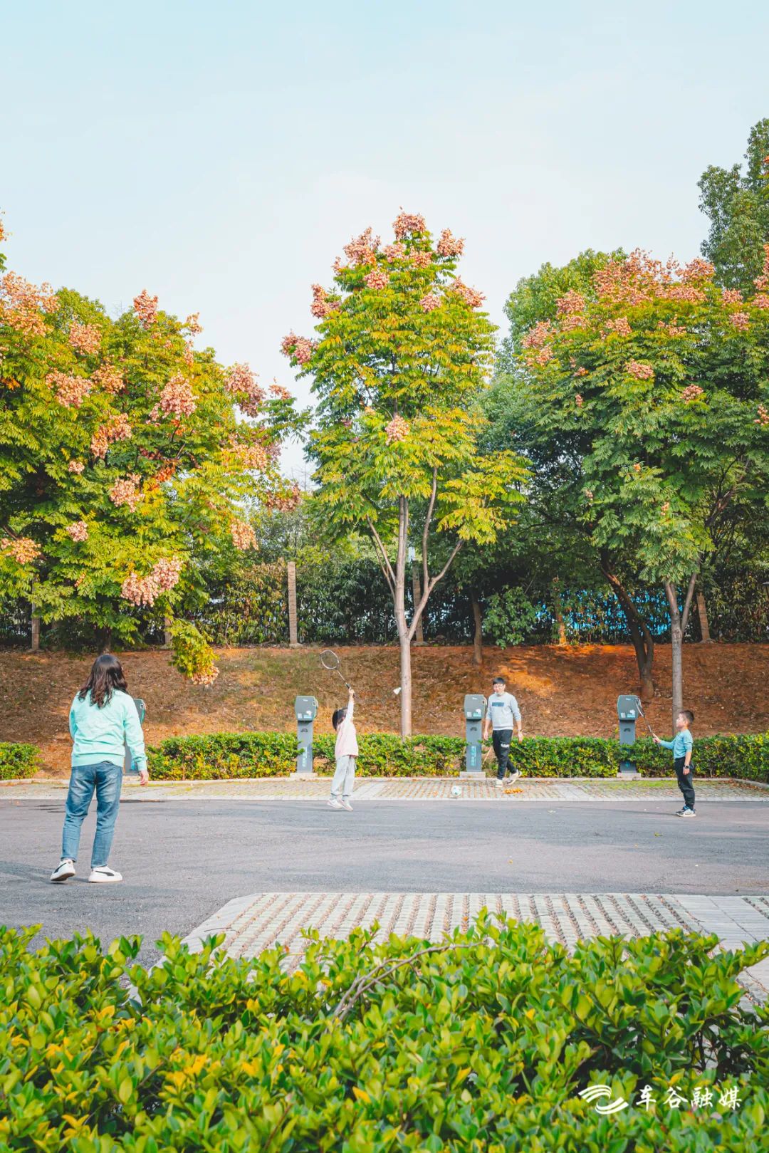 散步、慢跑、骑行……快来打卡车谷这些“高颜值”绿道