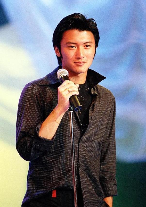 谢霆锋为什么如此喜欢王菲,谢霆锋为何喜欢王菲这么多年