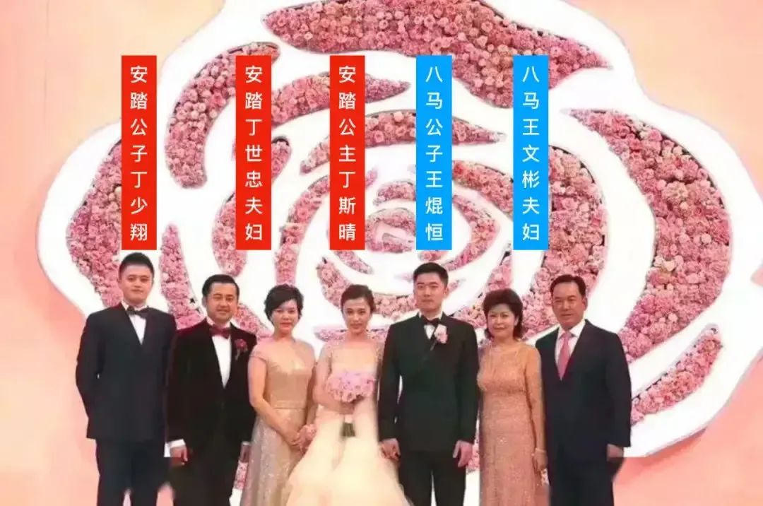 豪门联姻有真爱,豪门联姻变真爱电视剧