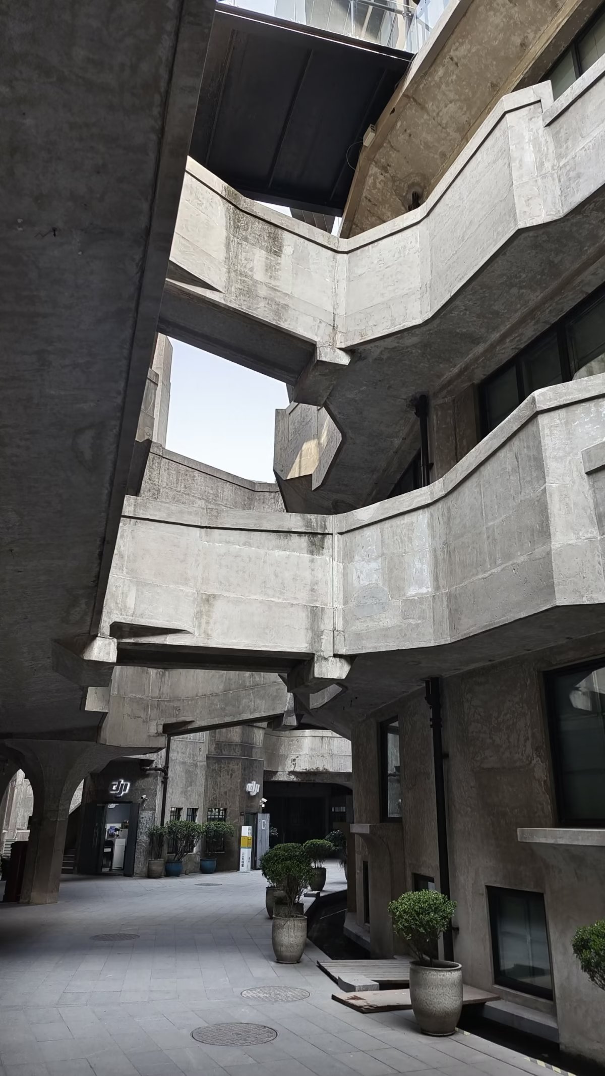 上海研学计划三天两夜,上海研学两日游