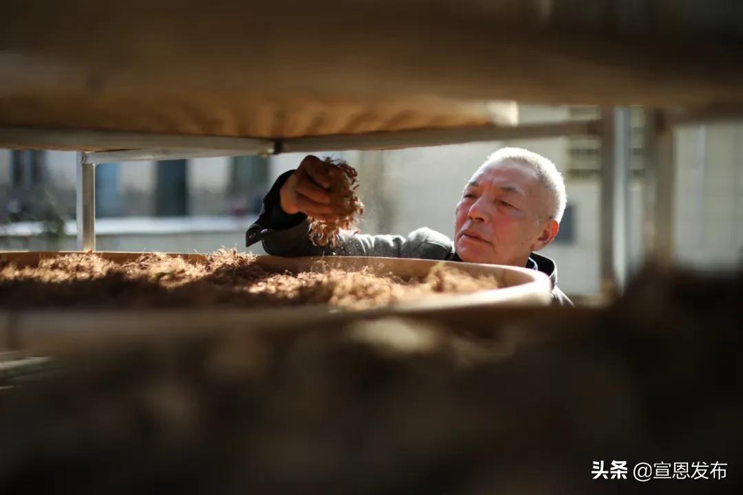 2019年出彩宣恩人,出彩宣恩评选结果公示