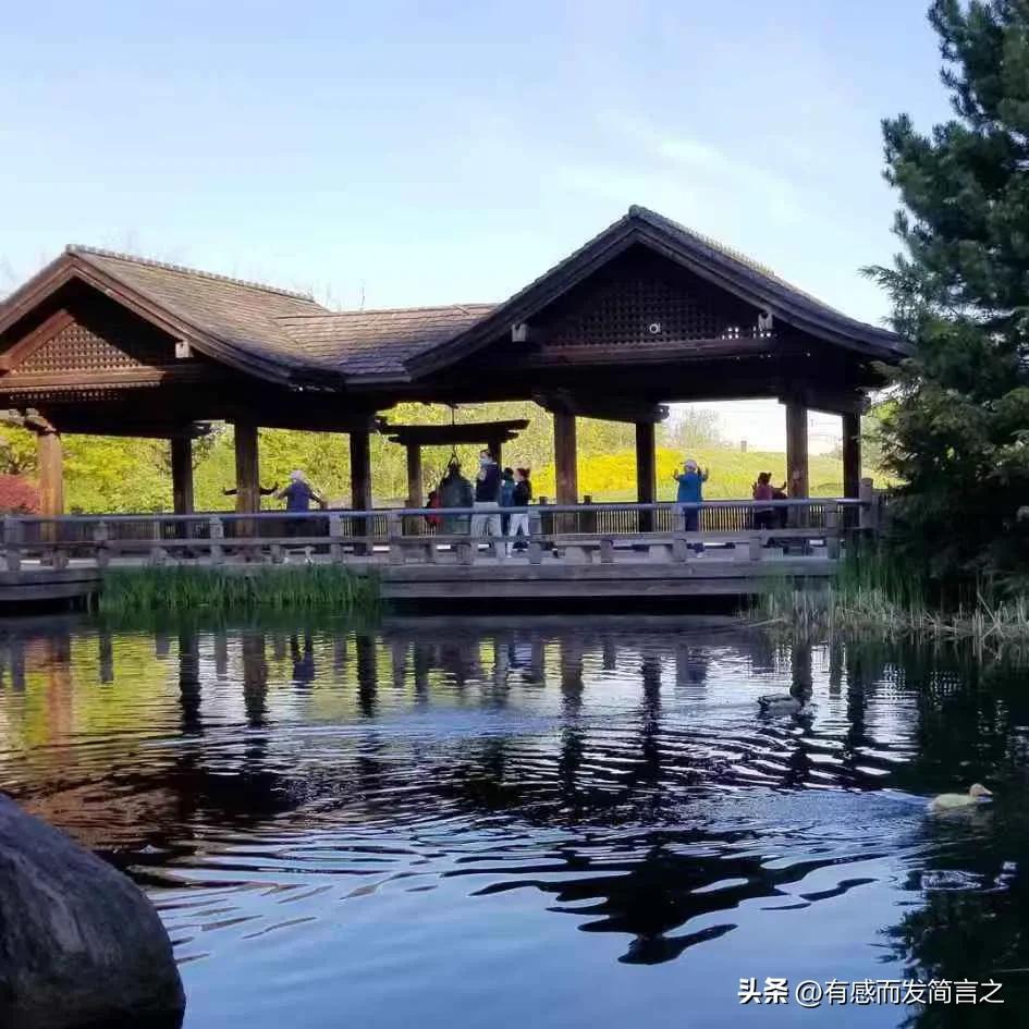 看剧的公众号,看剧公众号