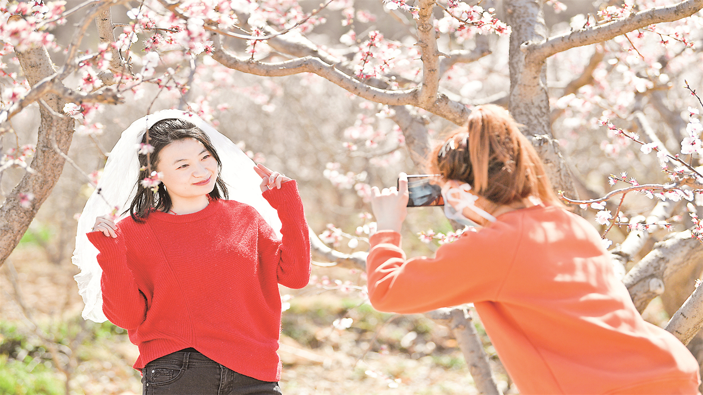 雅茶品禅味,茶烟养性灵