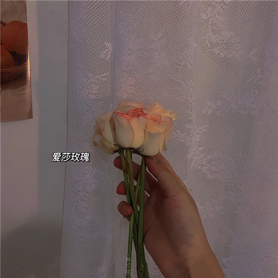 清新唯美图片高清图文,美好怀旧图片唯美