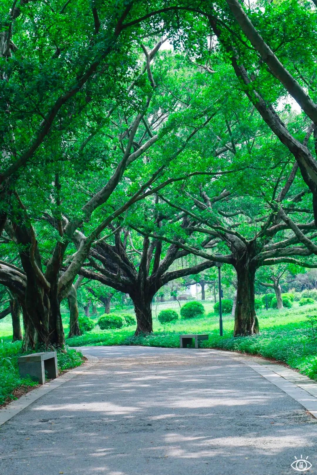 深圳地铁五号线十号线游玩地点,深圳地铁12号线最新最全线路图