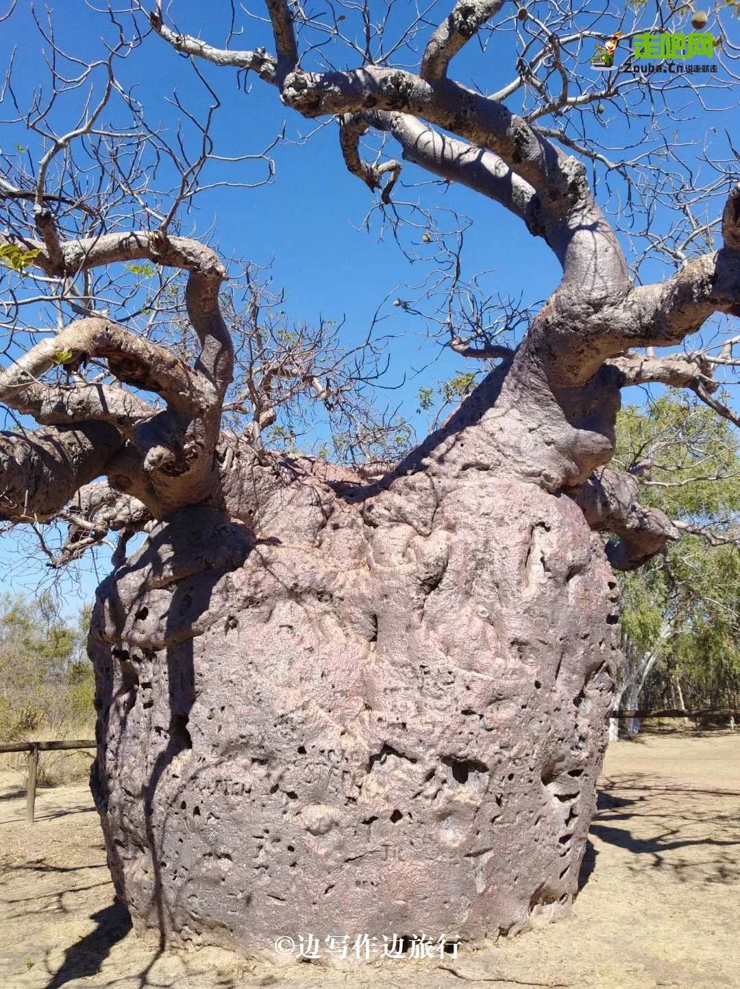 贫穷女大学生第一次出国旅行去哪,女生穷游4年游了24个国家