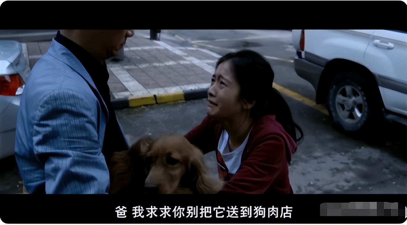 被煮熟的“宠物”,是孩子童真的丢失,家长不自知还在沾沾自喜