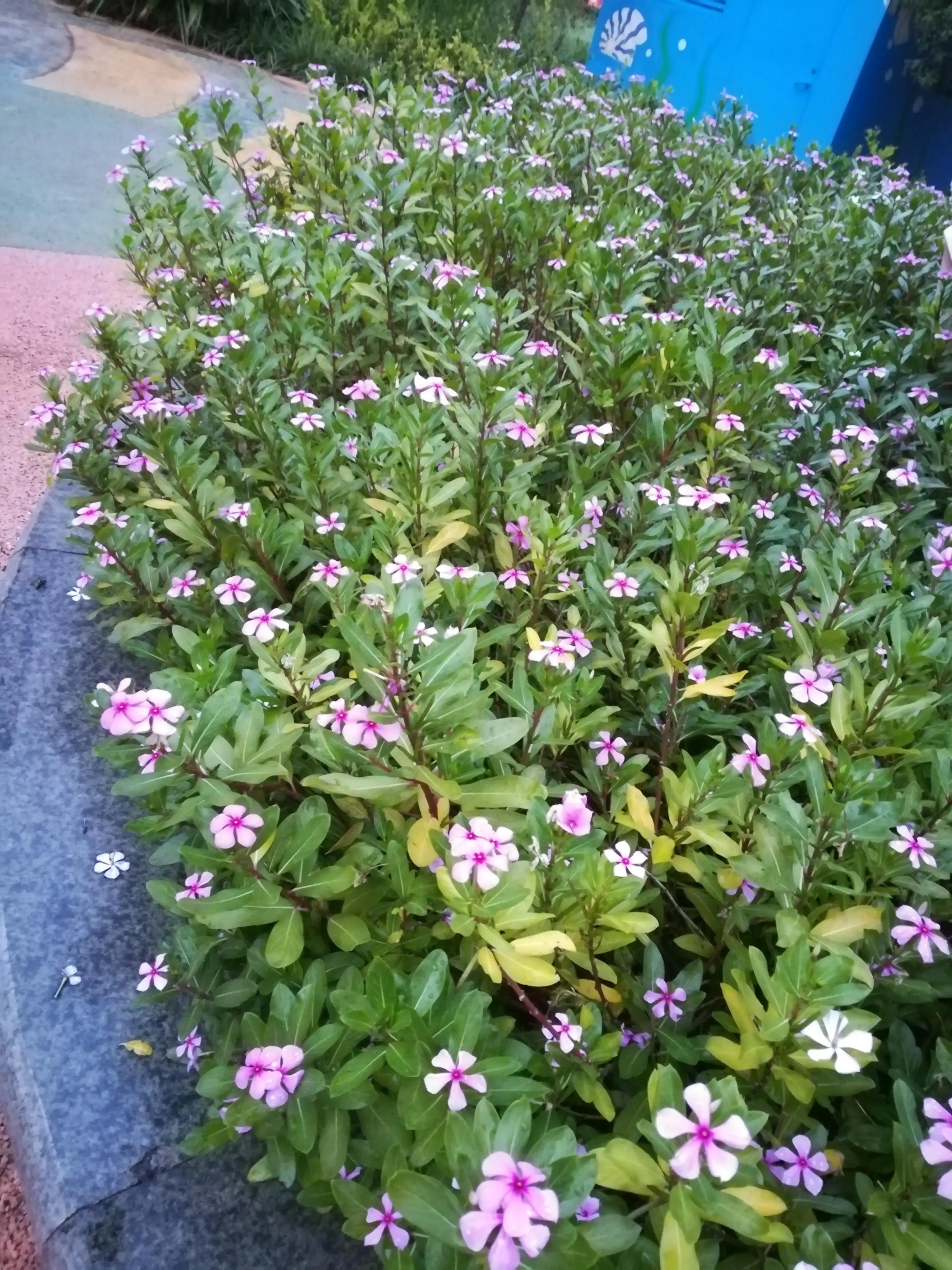 云南省昆明市1903公园