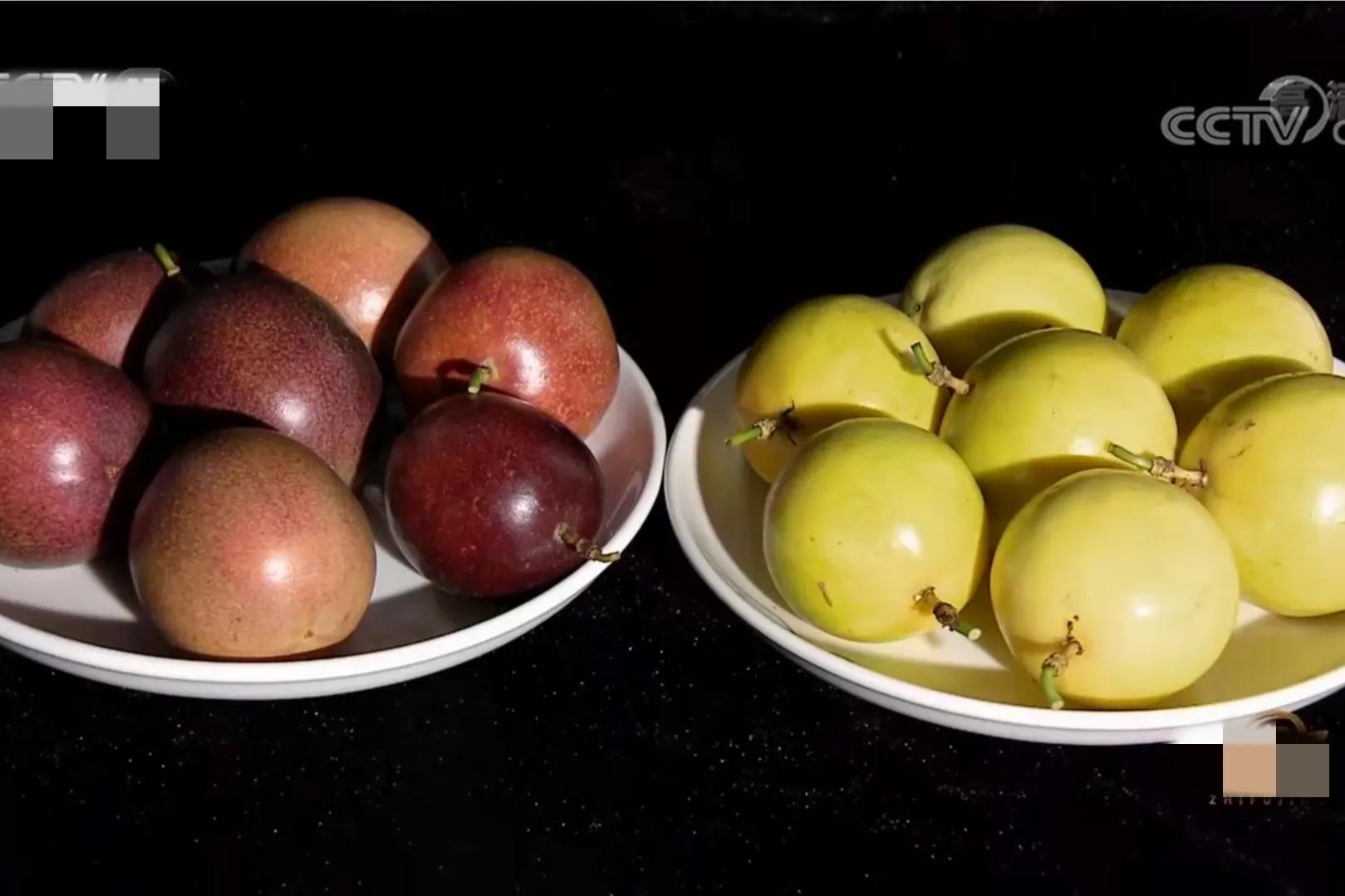 90后小伙承包15亩果园,湖南小伙承包五千亩四年赚上千万