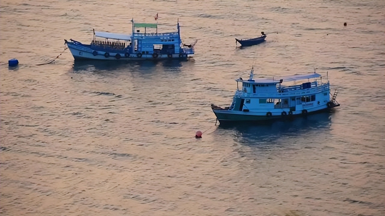 弯弯扇什么意思,弯弯扇